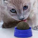 Catnip Licking Ball – Tasty & Soothing Treat for Happy Cats