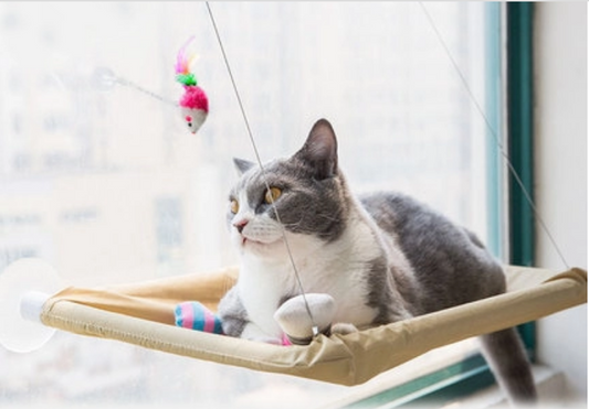 Cat Window Bed – Cozy, Space-Saving Hammock for Sunbathing & Relaxation